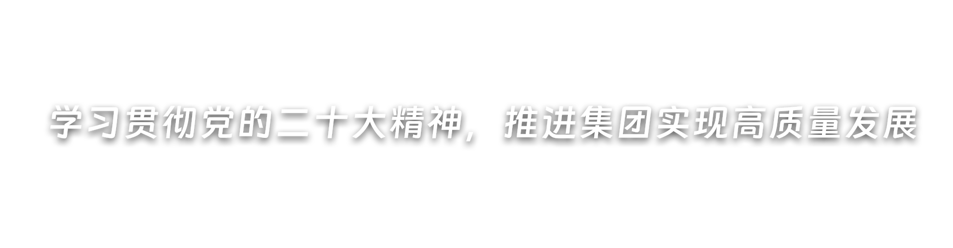 深入開展黨紀學習教育，推進集團高質量發展